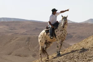 בחוצה ישראל עם שון