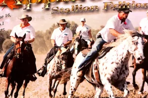 בחוצה ישראל עם שון והחברים