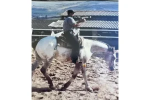 Collection demonstration with Golan