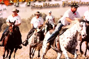 Crossing Israel with Shon and friends