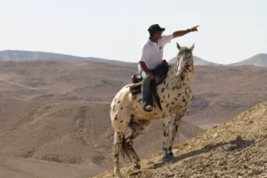 Crossing Israel with Shon