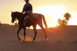 In the Sahara in Morocco