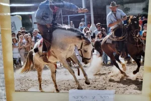 Ramot Rodeo