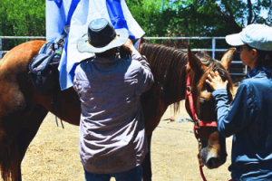 Training for presence