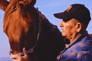 On a trip in the Golan