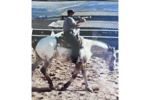 הדגמת כינוס עם גולן